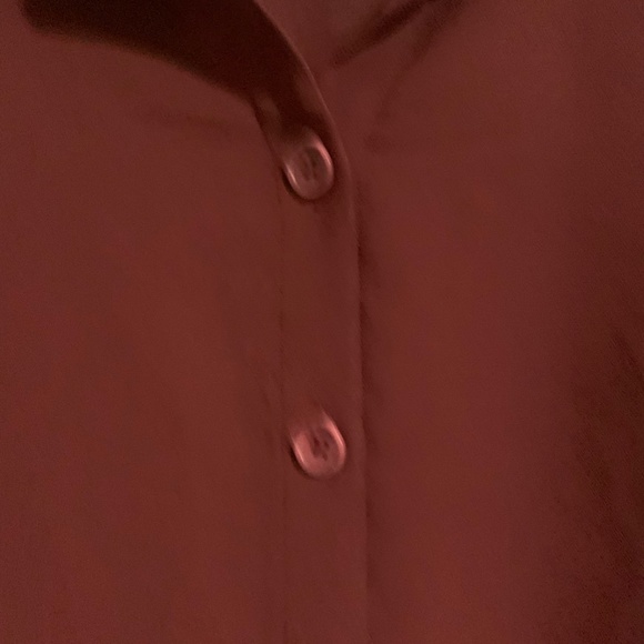 Sheer Cropped Top - Picture 3 of 9